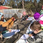 Teddy Bear Daycare and Preschool