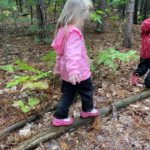 Learning at Teddy Bear Day Care and Nature School