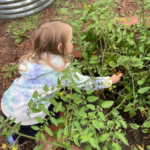 Learning at Teddy Bear Day Care and Nature School