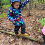 Learning at Teddy Bear Day Care and Nature School
