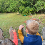Learning at Teddy Bear Day Care and Nature School