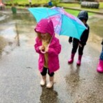 Learning at Teddy Bear Day Care and Nature School