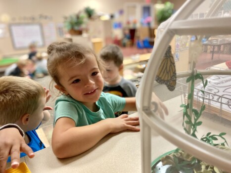 Teddy Bear Daycare and Preschool