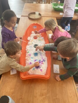 Teddy Bear Daycare Bass Lake Location