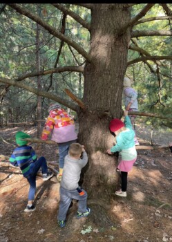 Teddy Bear Daycare Bass Lake Location