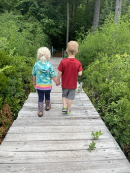 Teddy Bear Daycare Bass Lake Location