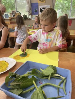Teddy Bear Daycare - Bass Lake Location